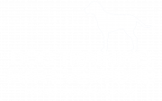 Dog Training For Everyone